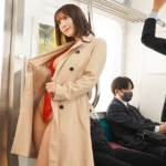 Thumbnail of related posts 145